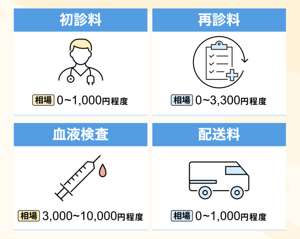 初診料・検査料・追加オプションなどの内訳例