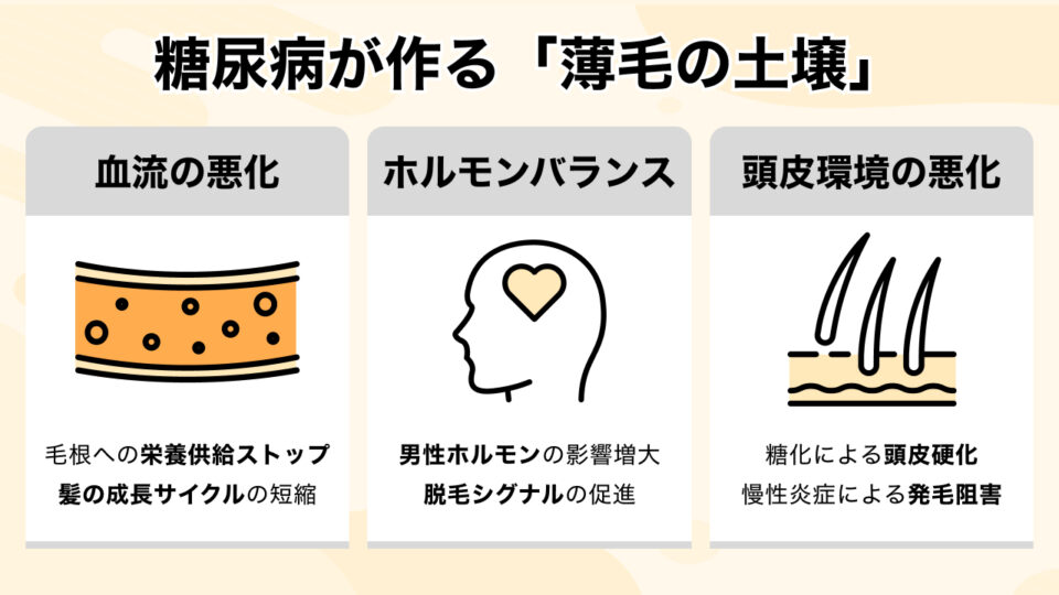 #1_糖尿病が作る「薄毛の土壌」