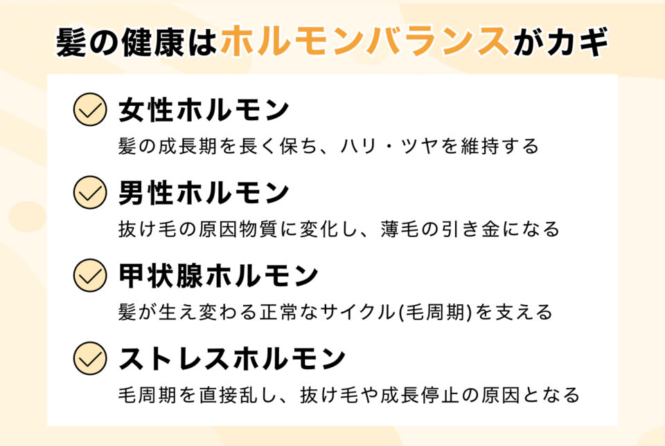 #1_髪とホルモンの密接な関係