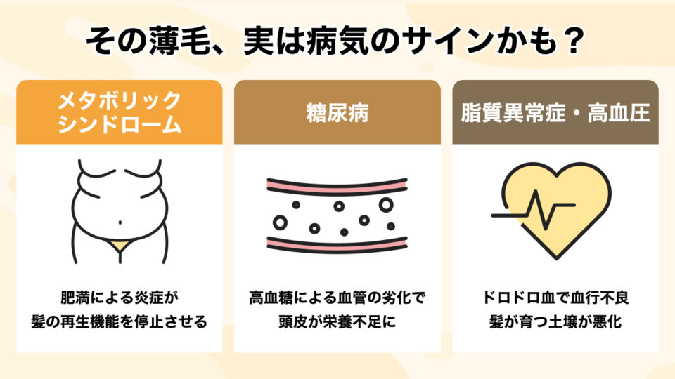#2_薄毛は体からの警告サイン?注意すべき3つの生活習慣病