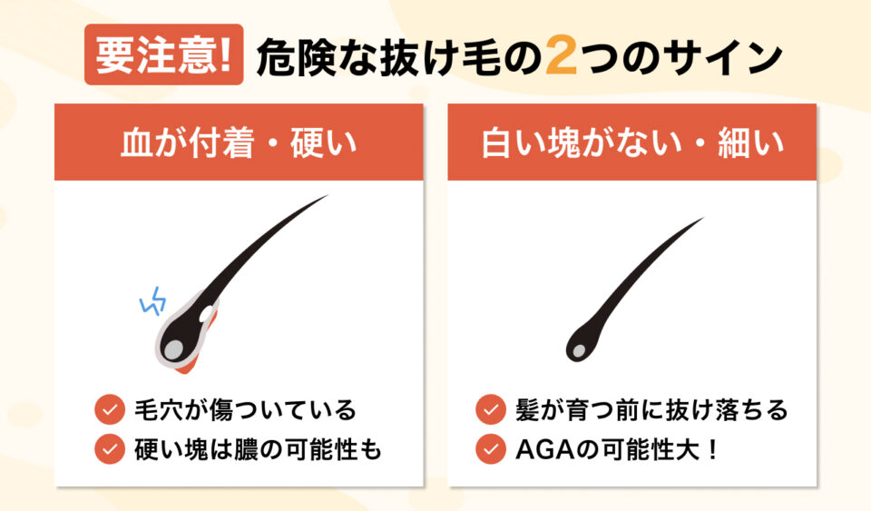 毛根鞘の状態から読み解く頭皮からのSOS